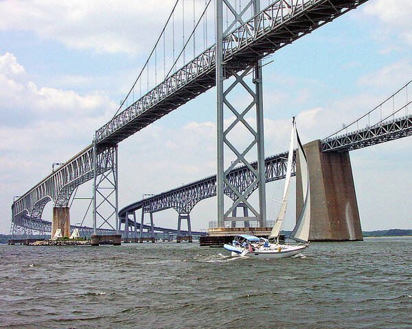 Sailing Poster featuring the photograph Under the Bay Bridges by Minnie Gallman
