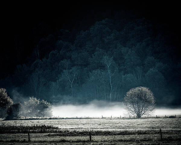 Landscape Poster featuring the photograph White Mist by Philippe Sainte-Laudy
