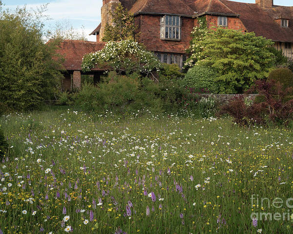 Wildflower Poster featuring the photograph Wildflower Meadow, Great Dixter by Perry Rodriguez