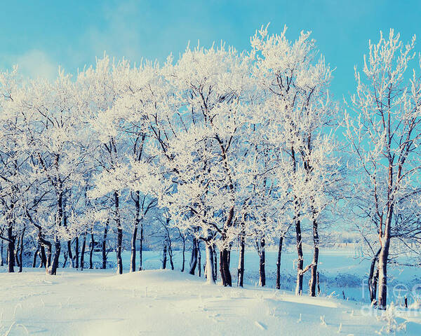 Magic Poster featuring the photograph Winter Landscape - Snowy Beautiful by Marina Zezelina