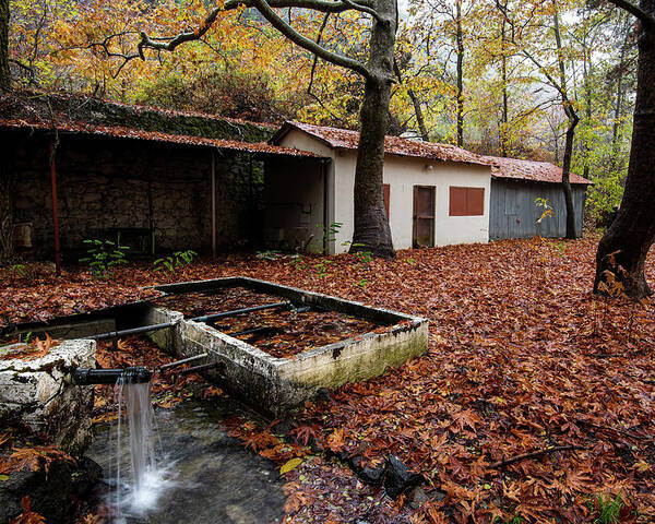 Autumn Poster featuring the photograph Autumn Landscape by Michalakis Ppalis