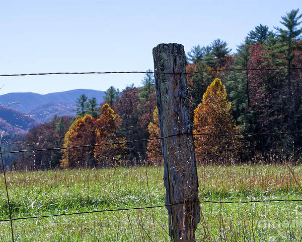 Cades Cove Poster featuring the photograph Fence Post by Phil Perkins
