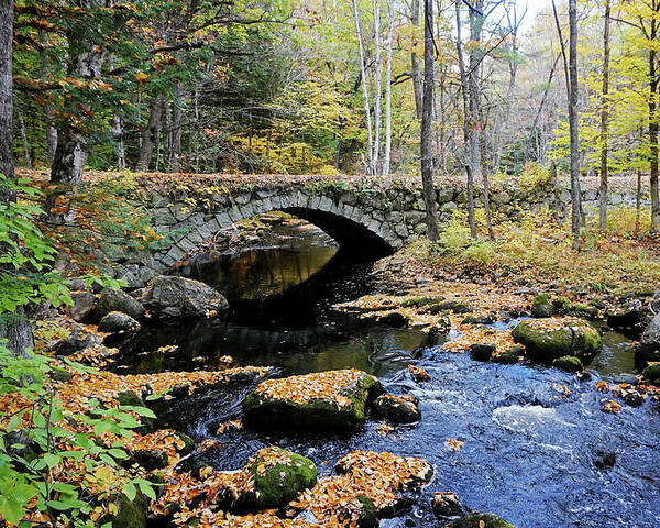 Stone Arch Autumn New England Hampshire Nh Bridge Water Stream Trout Fishing Leaves Foliage Fall Brook Poster featuring the photograph Stone Arch Bridge in Autumn by Wayne Marshall Chase