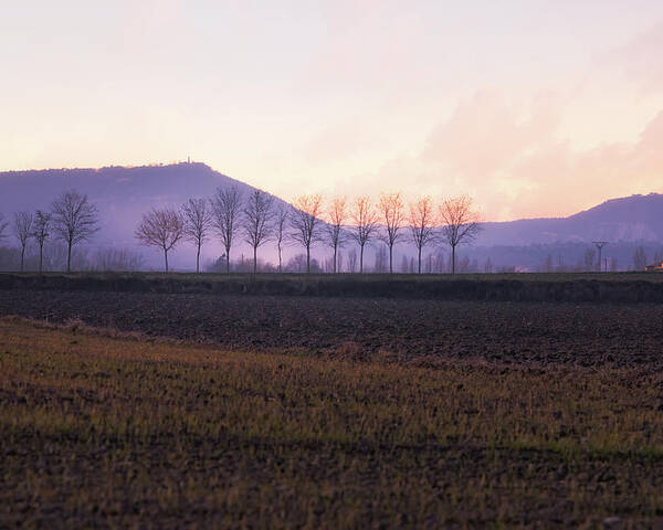 Agriculture Poster featuring the photograph The mist settles in the valley after sunset by Jordi Carrio Jamila