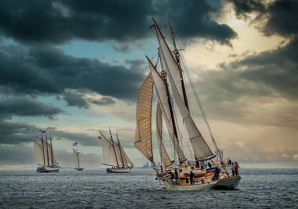  Poster featuring the photograph Windjammer Fleet by Fred LeBlanc