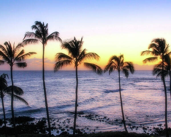 Hawaii Poster featuring the photograph Poipu Palms by Robert Carter