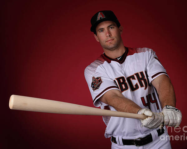 Media Day Poster featuring the photograph Paul Goldschmidt by Christian Petersen
