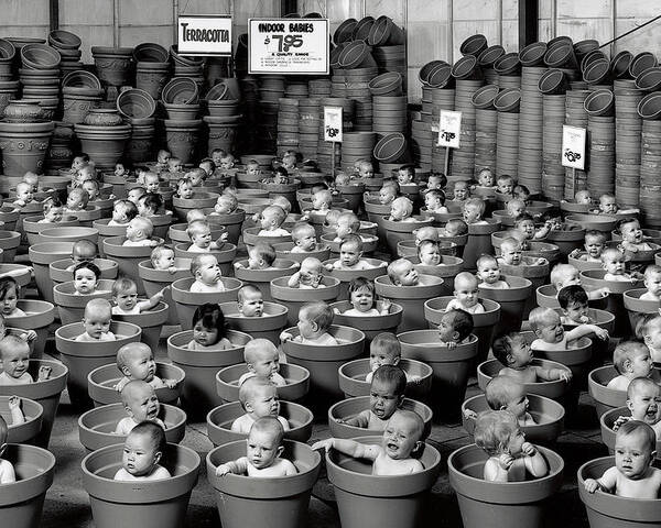Black & White Poster featuring the photograph 123 Pots by Anne Geddes