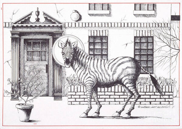 Drawing Poster featuring the drawing 16th Street Zebra NYC by William Hart McNichols