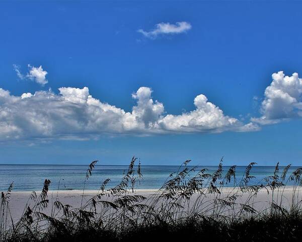  Poster featuring the photograph Naples Beach by Donn Ingemie
