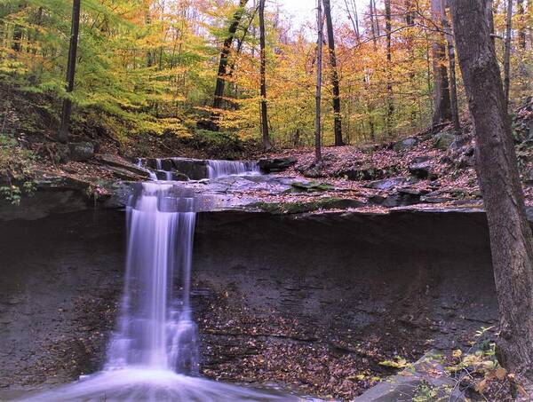  Poster featuring the photograph Blue Hen Falls by Brad Nellis