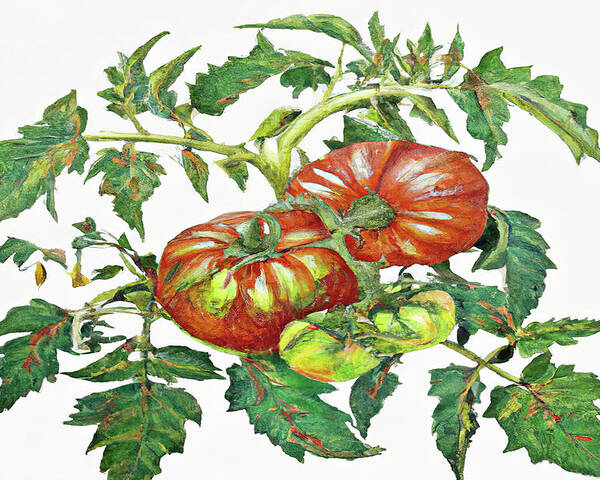 Two Red Tomatoes Poster featuring the digital art 2 Tomatoes 2 B by Cathy Anderson