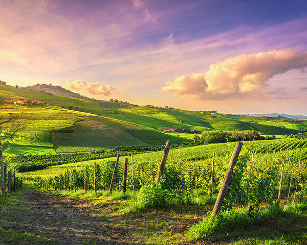 Vineyards Poster featuring the photograph Langhe vineyards view, Barolo and La Morra, Piedmont, Italy Euro by Stefano Orazzini