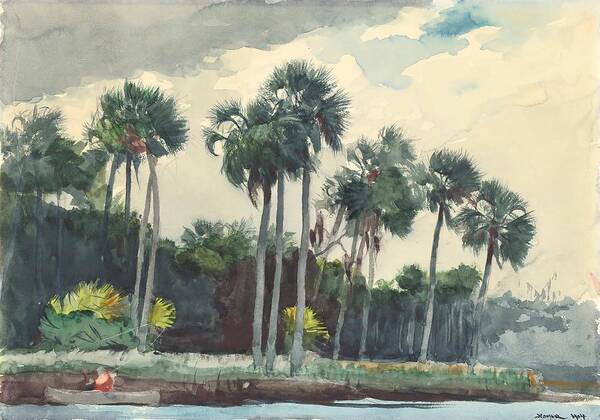 Winslow Homer Poster featuring the drawing Red Shirt, Homosassa, Florida by Winslow Homer