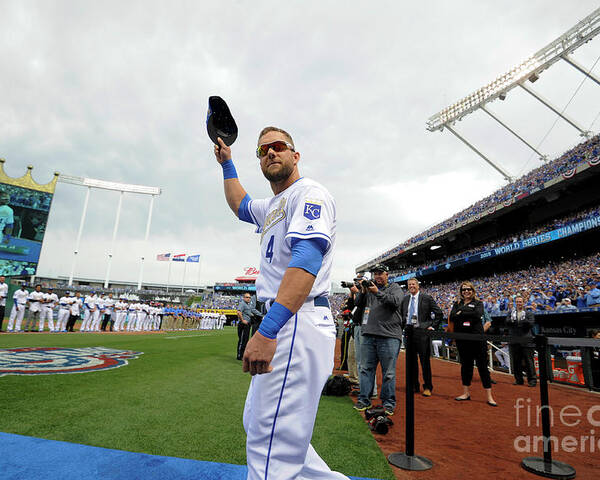 Crowd Poster featuring the photograph Alex Gordon by Ed Zurga