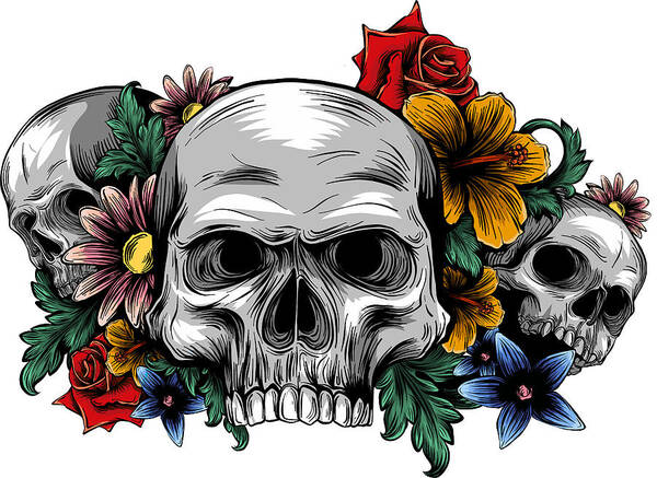 A human skulls with roses on white background Poster by Dean Zangirolami -  Pixels