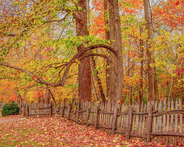 Oconaluftee Poster featuring the photograph A Crooked Old Fence in the Shadow of Fall by Marcy Wielfaert