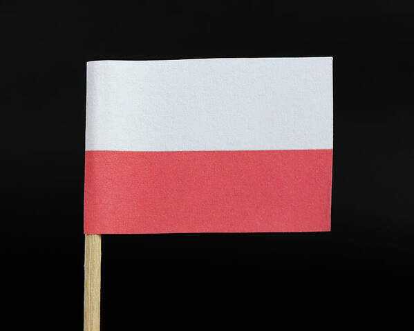 Poland Poster featuring the photograph Flag of Poland by Vaclav Sonnek