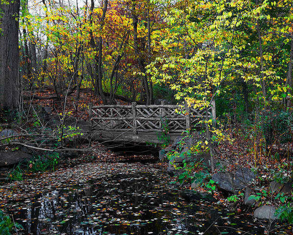 Rustic Poster featuring the photograph A Rustic Bridge in the Ramble - A Central Park Impression by Steve Ember