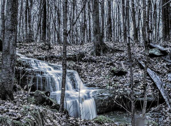  Poster featuring the photograph A Secret Falls in the Fall by Brad Nellis