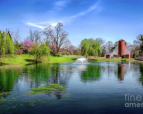 Allandale Poster featuring the photograph Allandale Lake in Spring by Shelia Hunt