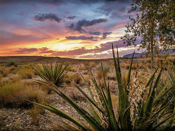 Lake Powell Poster featuring the photograph Arizona Desert Sunset by Bradley Morris