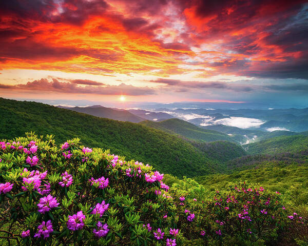 Blue Ridge Parkway Poster featuring the photograph Asheville North Carolina Blue Ridge Parkway Scenic Sunset Landscape by Dave Allen