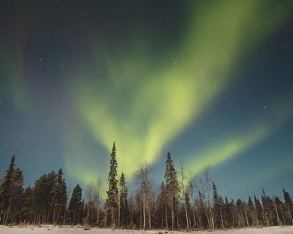 Aurora Borealis Poster featuring the photograph Dance of wild nature - Aurora borealis by Vaclav Sonnek