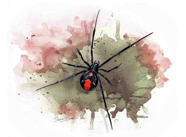 Art Poster featuring the painting Australian Redback Spider by Simon Read