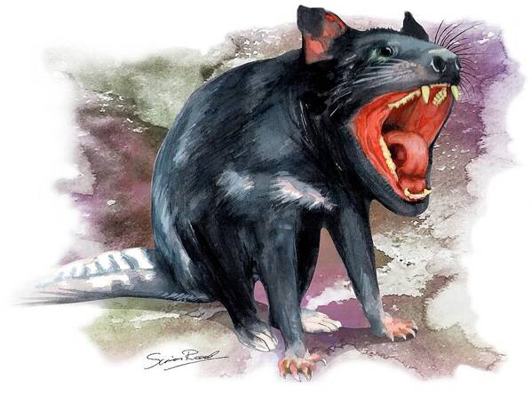Art Poster featuring the painting Australian Tasmanian Devil by Simon Read