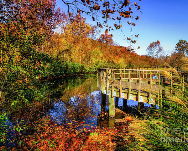 Autumn; Leaves; Pier; Lake; Fall; Fall Color; Reflection; Reflections; Leaf; Red; Yellow; Gold; Rural; Tree; Trees; Tennessee; Northeast Tennessee; Shelia Hunt; Shelia Hunt Photography; Landscape; Landscape Photography; Nature; Nature Photography; Us; Usa; Outdoor; Outdoors; Blue Sky; Autumn Leaves; Only In Tennessee; Tennessee Tourism; Travel; Travel Photography; Water Poster featuring the photograph Autumn at Erwin, Tennessee by Shelia Hunt