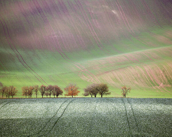South Poster featuring the photograph Autumn in South Moravia 1 by Dubi Roman
