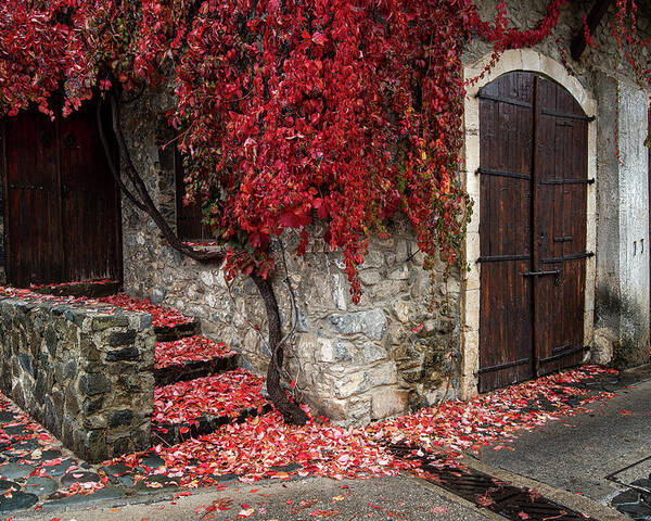 Autumn Poster featuring the photograph Autumn landscape with red plants on a hous wall by Michalakis Ppalis