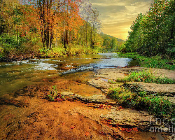 Elk River Poster featuring the photograph Autumn on Elk River by Shelia Hunt