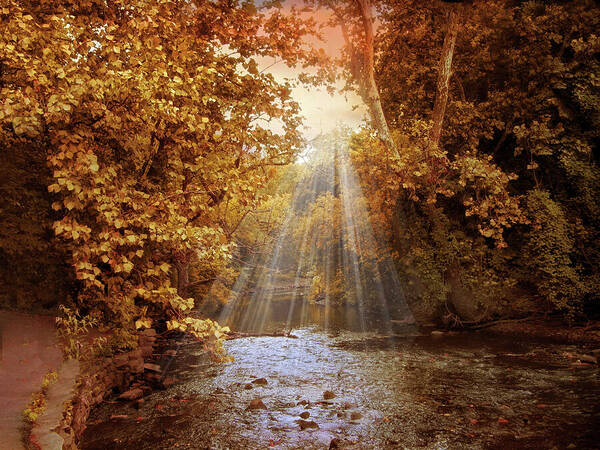 Autumn Poster featuring the photograph Autumn River Light by Jessica Jenney