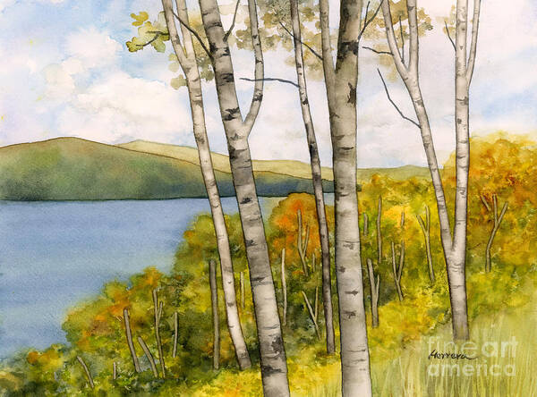 Tree Poster featuring the painting Birch Trees and Autumn Foliage by Hailey E Herrera