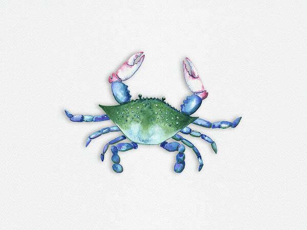 Crab Poster featuring the painting Blue, Green, Red Crab by Michele Fritz