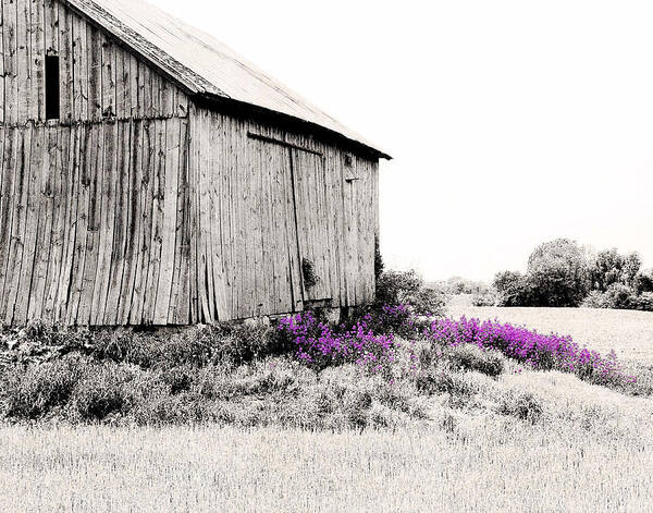 Brillion Poster featuring the digital art Brillion Barn with flowers by Stacey Carlson