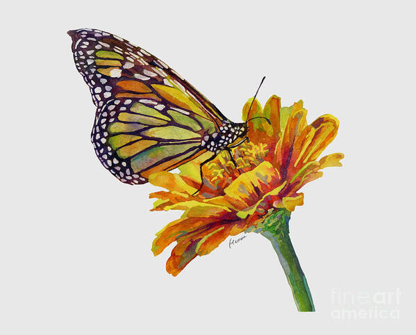 Butterfly Poster featuring the painting Butterfly Kiss on White by Hailey E Herrera