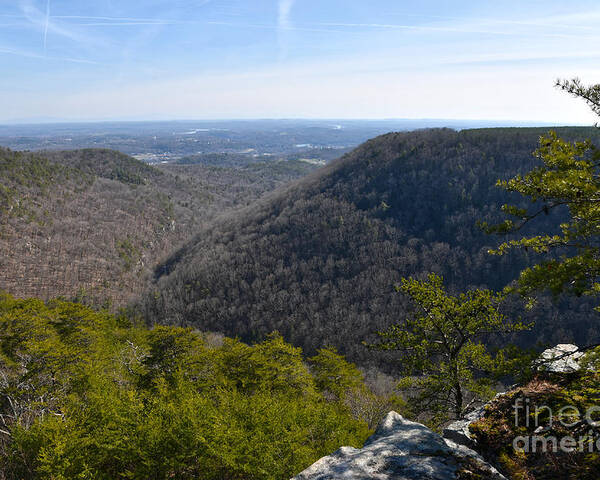 Cumberland Plateau Poster featuring the photograph Buzzard Point Overlook 1 by Phil Perkins