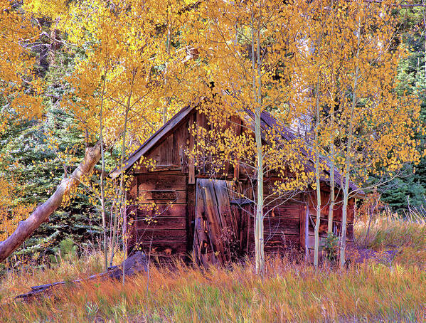 Cabin Poster featuring the photograph Cabin in the Forest by Bob Falcone