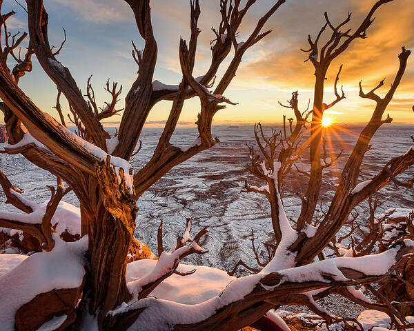 Utah Poster featuring the photograph Canyonlands Winter Sunset by Whit Richardson