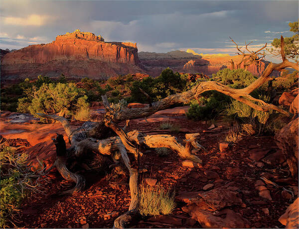 Capitol Reef Poster featuring the photograph Capitol Reef Sunset by Bob Falcone