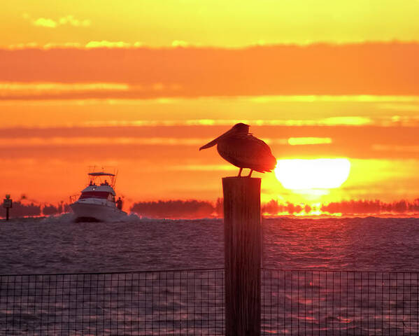 Sunrise Poster featuring the photograph Captiva Island Sunrise by Carolyn Hutchins