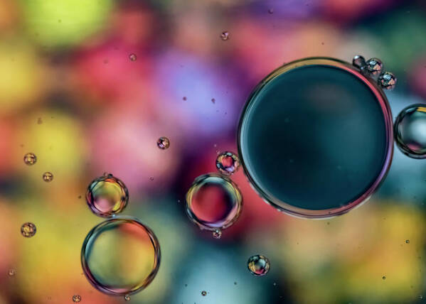 Oil Poster featuring the photograph Colorful Bubbles by Cathy Kovarik