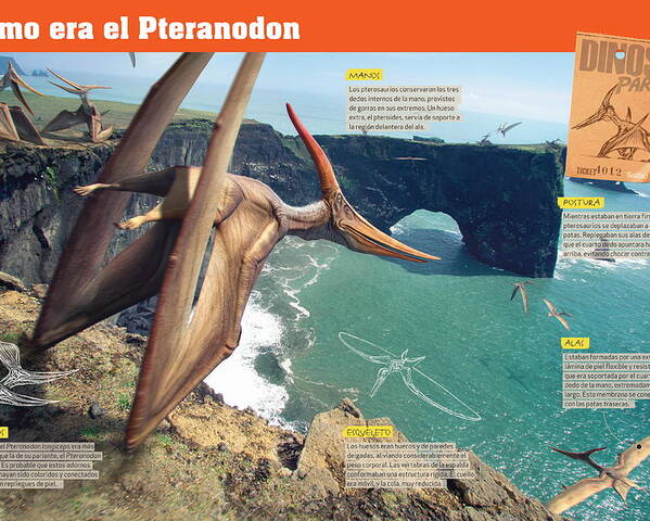 Mesozoico Poster featuring the digital art Como era el Pteranodon by Album