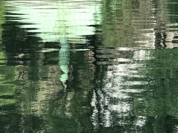  Poster featuring the photograph Conservatory Waters, Reflections by Judy Frisk