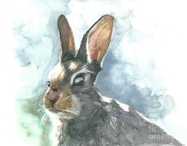 Rabbit Poster featuring the painting Cottontail Rabbit by Pamela Schwartz