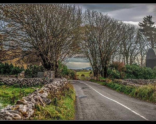 Ireland Poster featuring the photograph Country Highway by Regina Muscarella