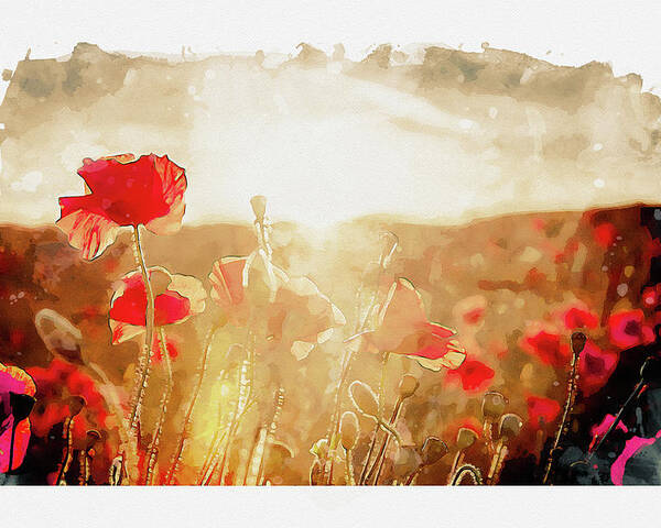 Poppy Sunset Poster featuring the digital art Crimson Fields by Airpower Art